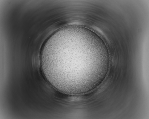 X0000088841274200706141532