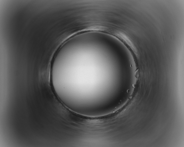 X0000088841276200706141532