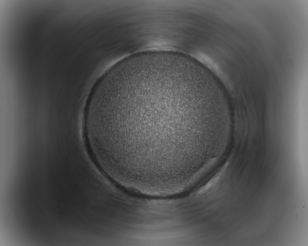 X0000088841277200706141532