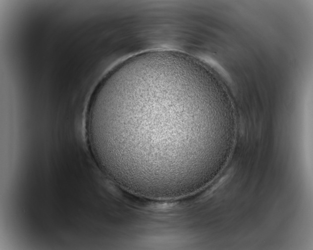 X0000088841278200706141532