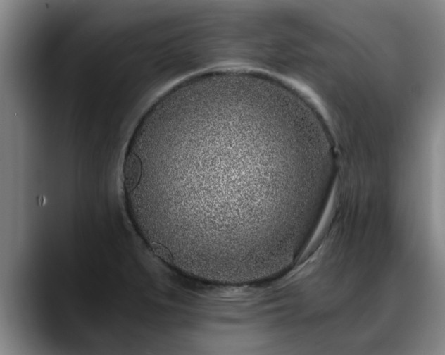 X0000088841279200706141532