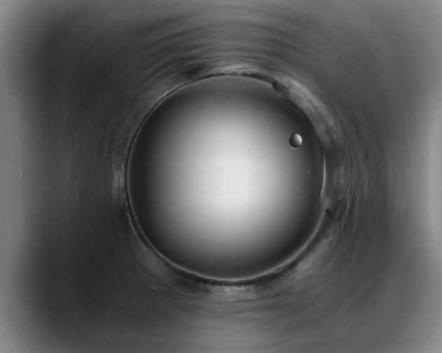 X0000088841281200706141532