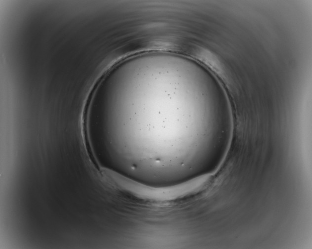 X0000088841283200706141532