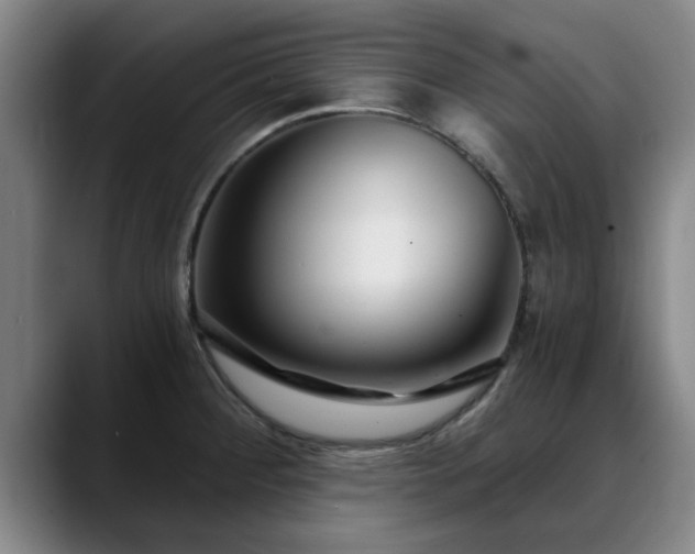 X0000088841284200706141532