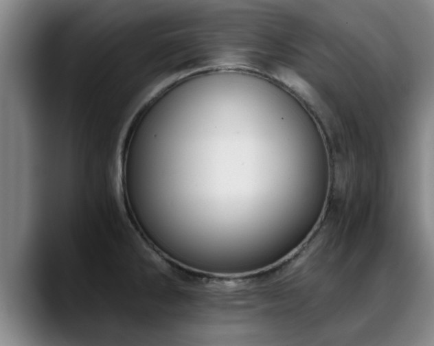 X0000088841286200706141532