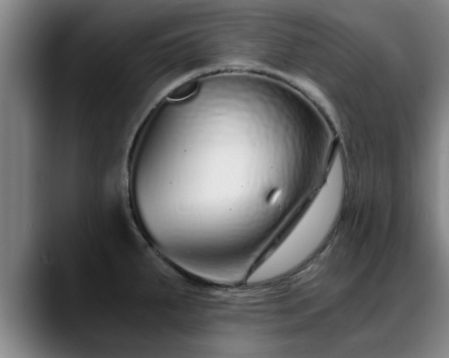 X0000088841287200706141532