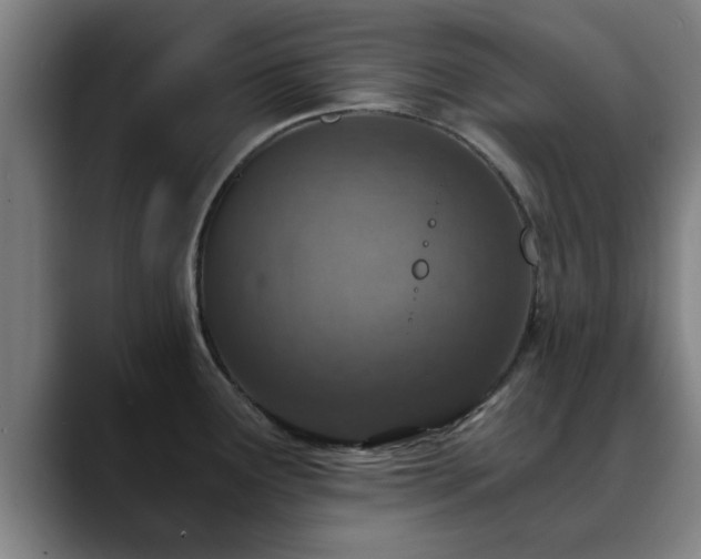 X0000088841291200706141532