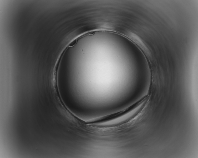 X0000088841292200706141532