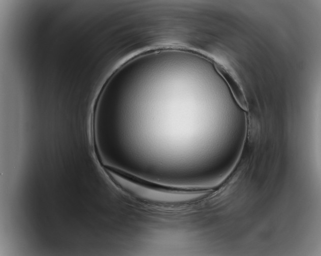 X0000088841295200706141532