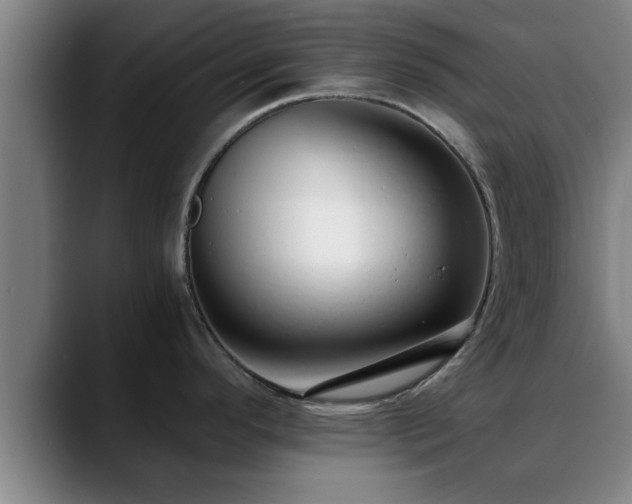 X0000088841296200706141532