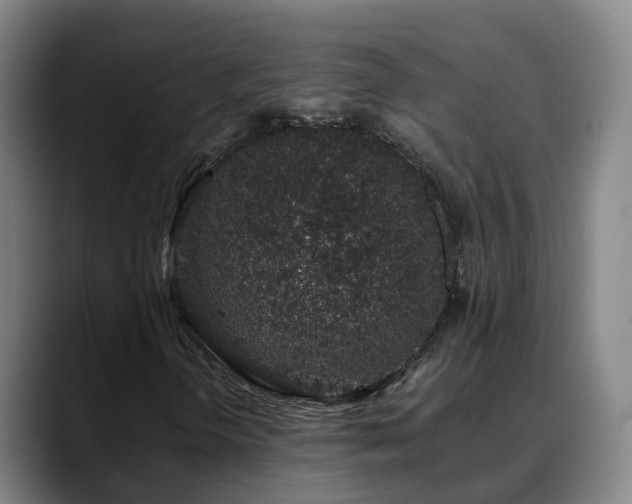 X0000088841298200706141531