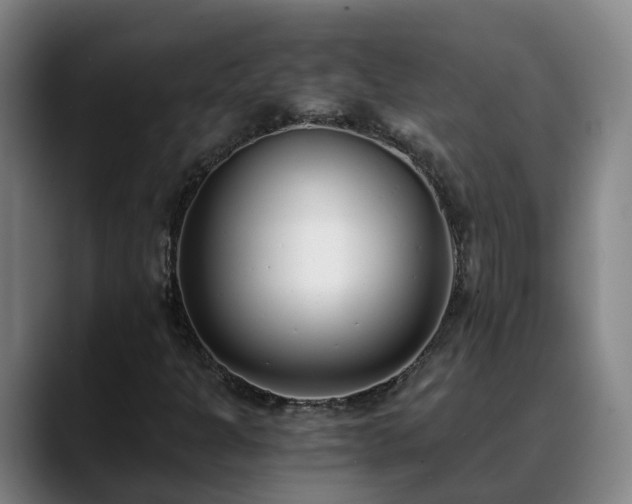 X0000088841301200706141531