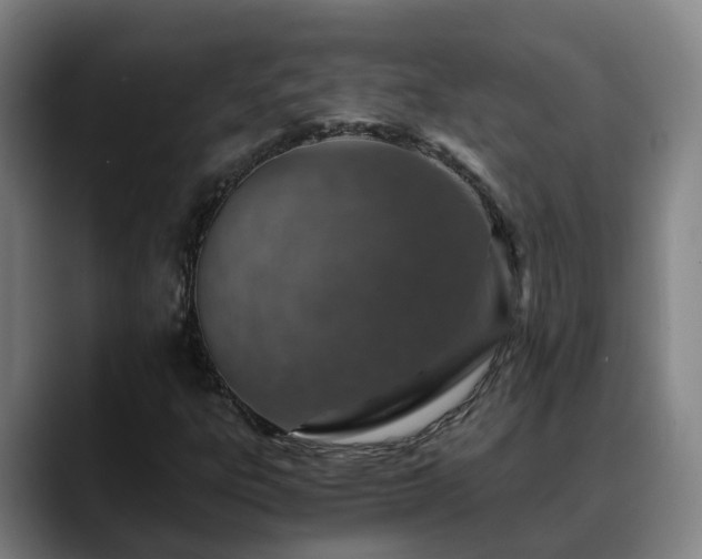 X0000088841303200706141531