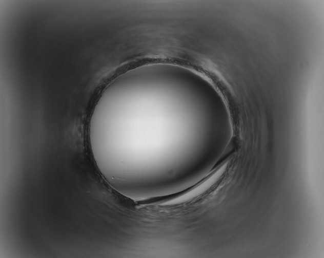 X0000088841304200706141531