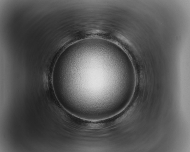 X0000088841305200706141531