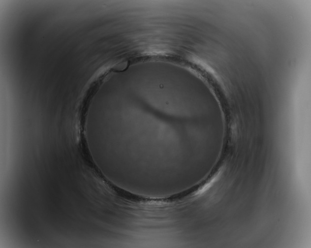 X0000088841306200706141531