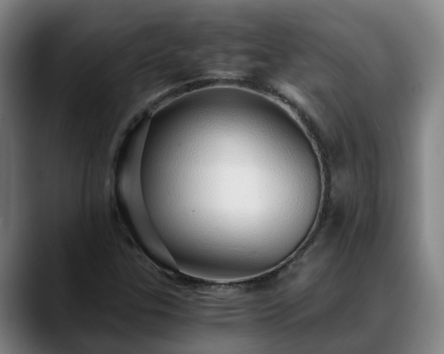 X0000088841307200706141531