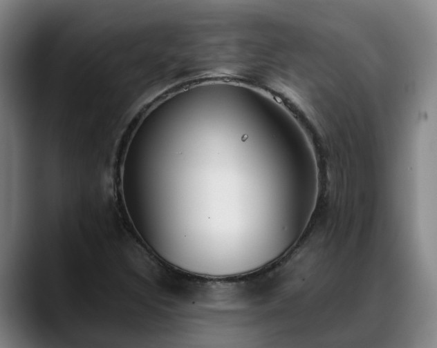 X0000088841308200706141531