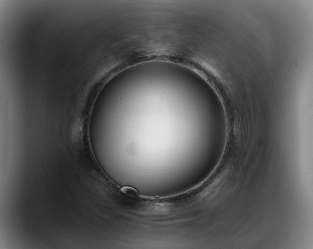 X0000088841309200706141531