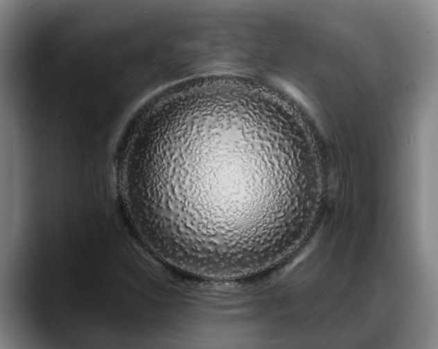 X0000088841310200706141531