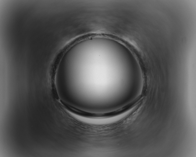 X0000088841311200706141531