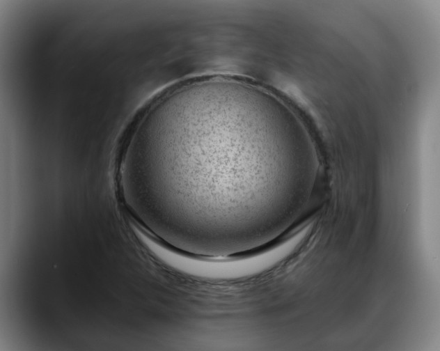 X0000088841312200706141531