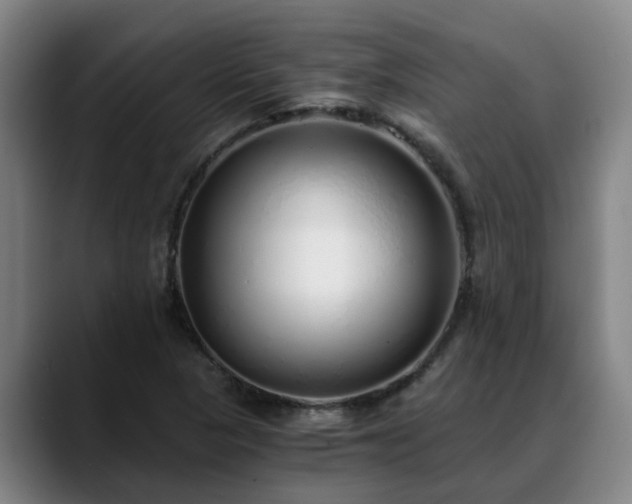 X0000088841313200706141531