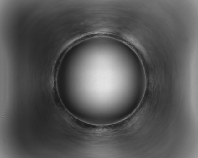 X0000088841316200706141531