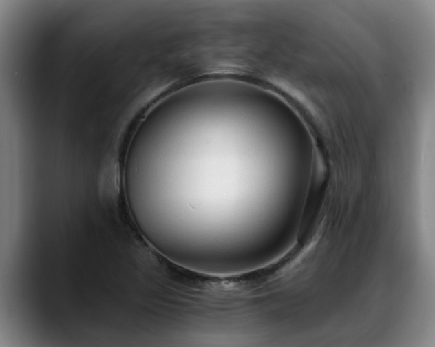 X0000088841317200706141531