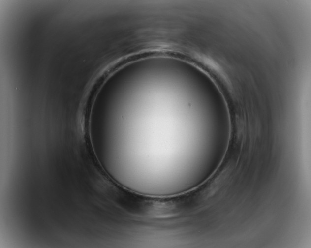 X0000088841318200706141531