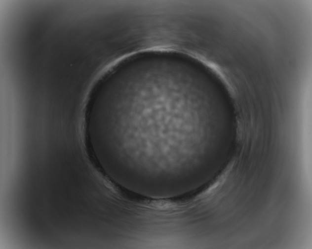 X0000088841319200706141531