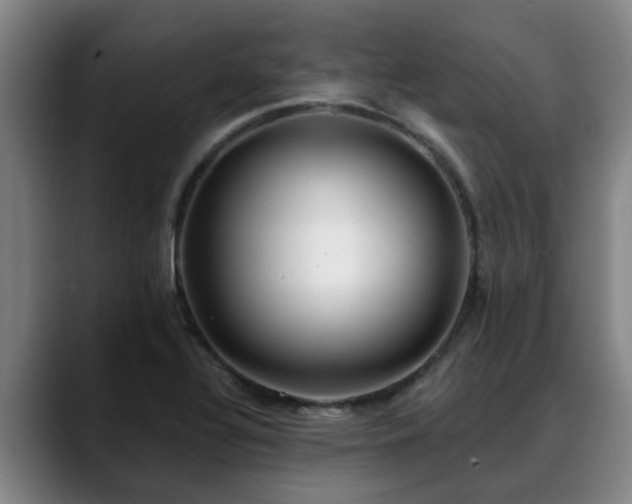 X0000088841320200706141531