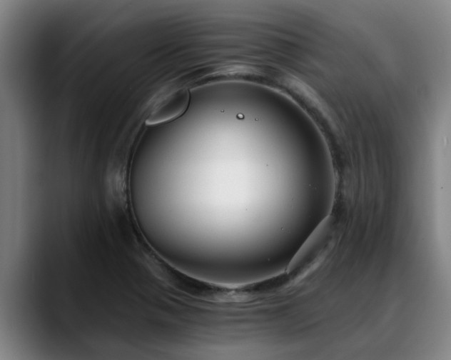 X0000088841321200706141531