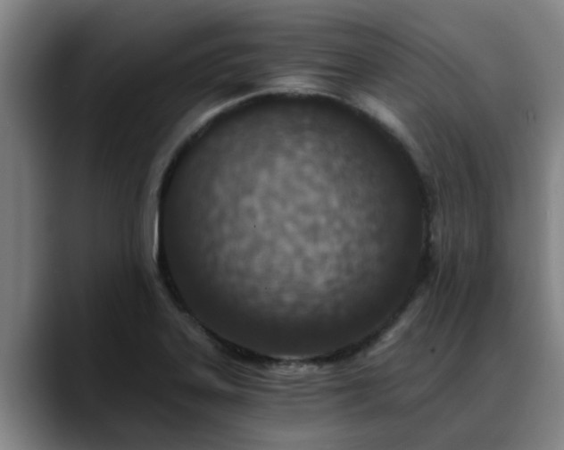 X0000088841323200706141531