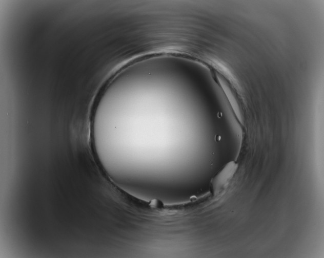 X0000088841324200706141531