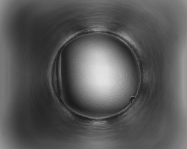 X0000088841325200706141531