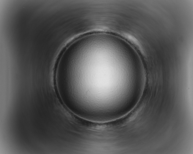 X0000088841326200706141531