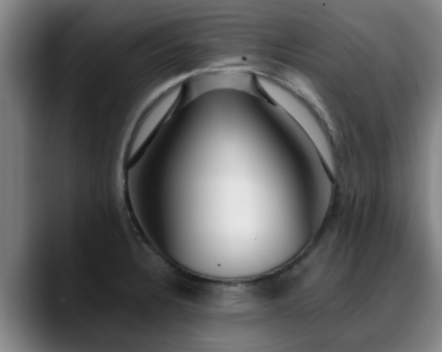 X0000088841328200706141531