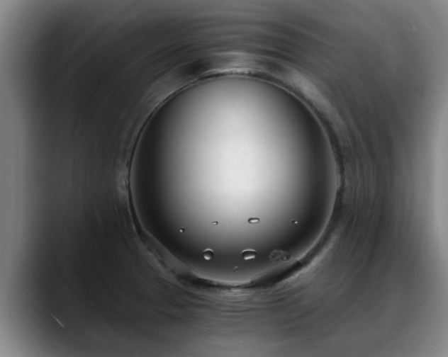 X0000088841329200706141531