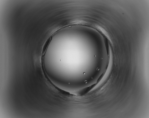 X0000088841330200706141531