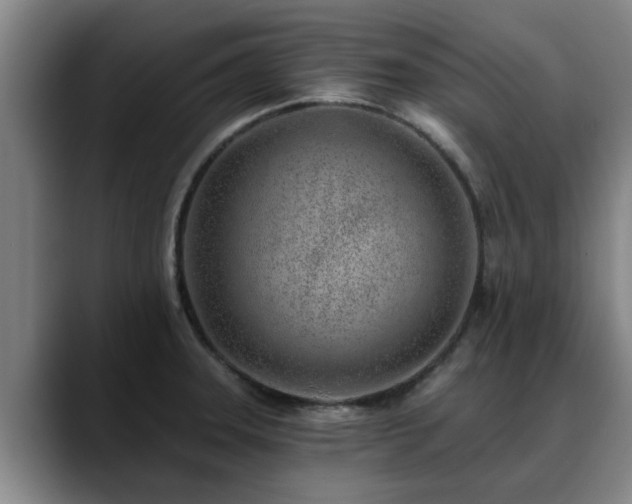 X0000088841331200706141531