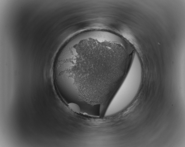 X0000088841334200706141532