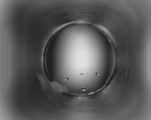 X0000088841335200706141532