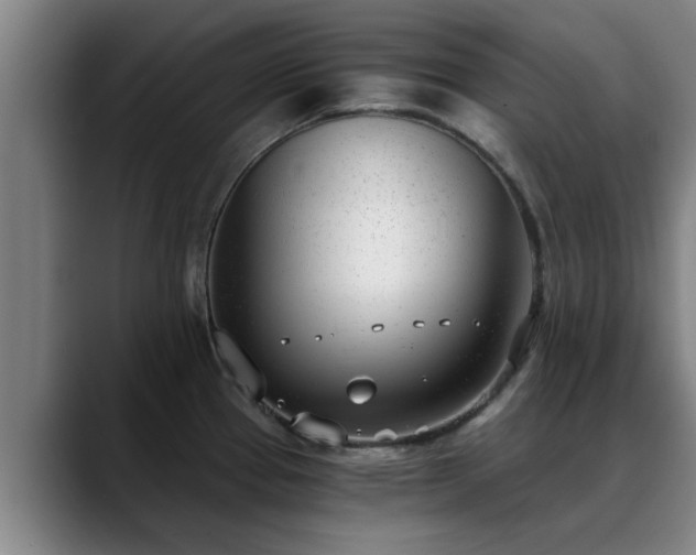 X0000088841337200706141532