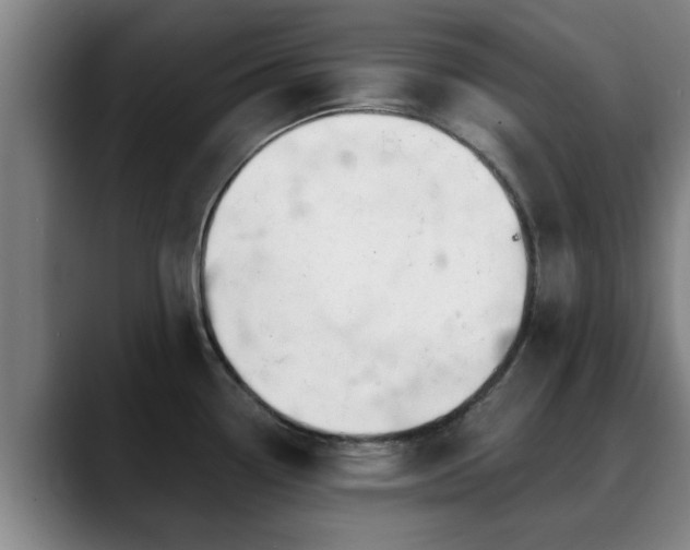 X0000088841338200706141532