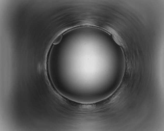 X0000088841339200706141532