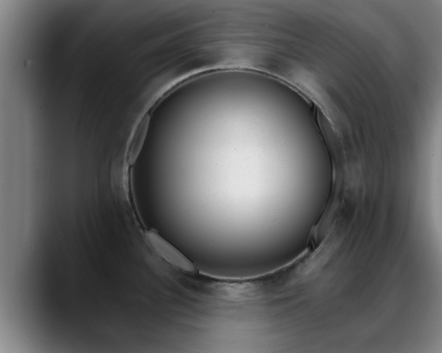 X0000088841340200706141532