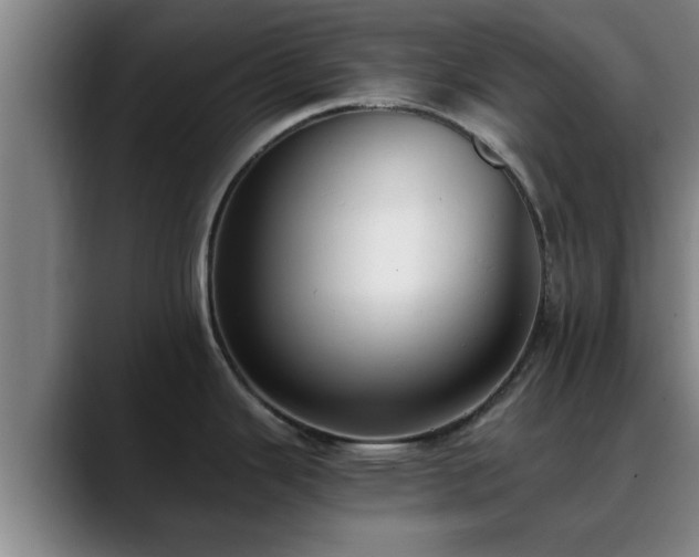 X0000088841343200706141532