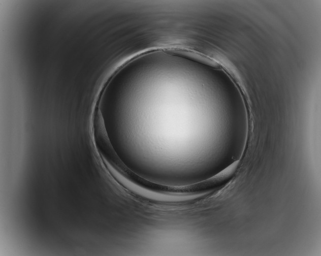 X0000088841344200706141532