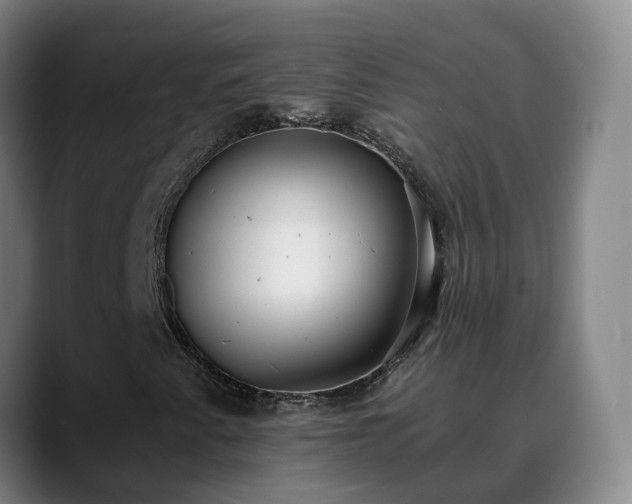 X0000088841345200706141531